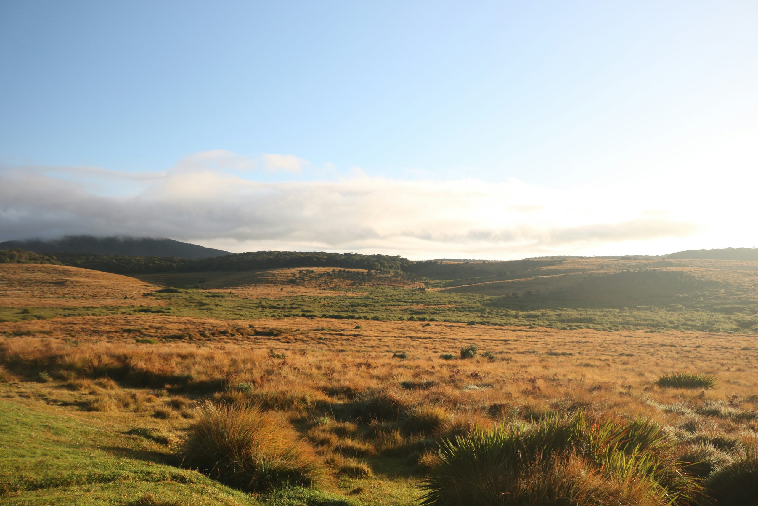 Horton Plains National Park