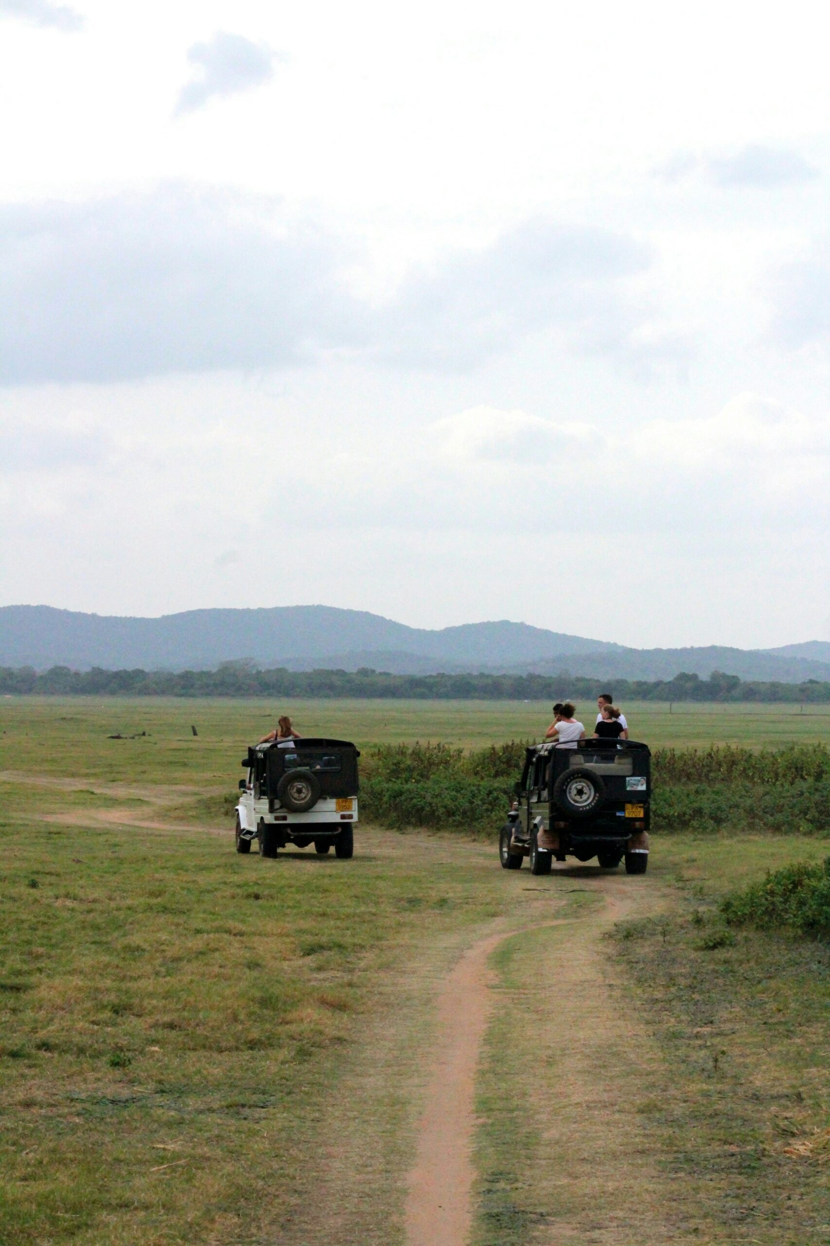 Minneriya National Park in Sri Lanka