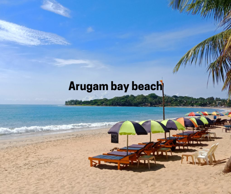 Arugam Bay Sri Lanka best surfing spots