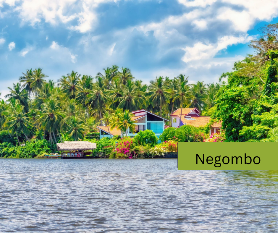 Negombo 1 Day Tour