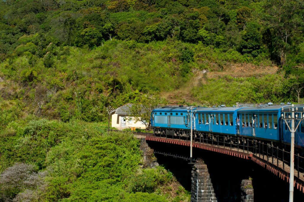 Tea Plantations and Scenic Train Rides