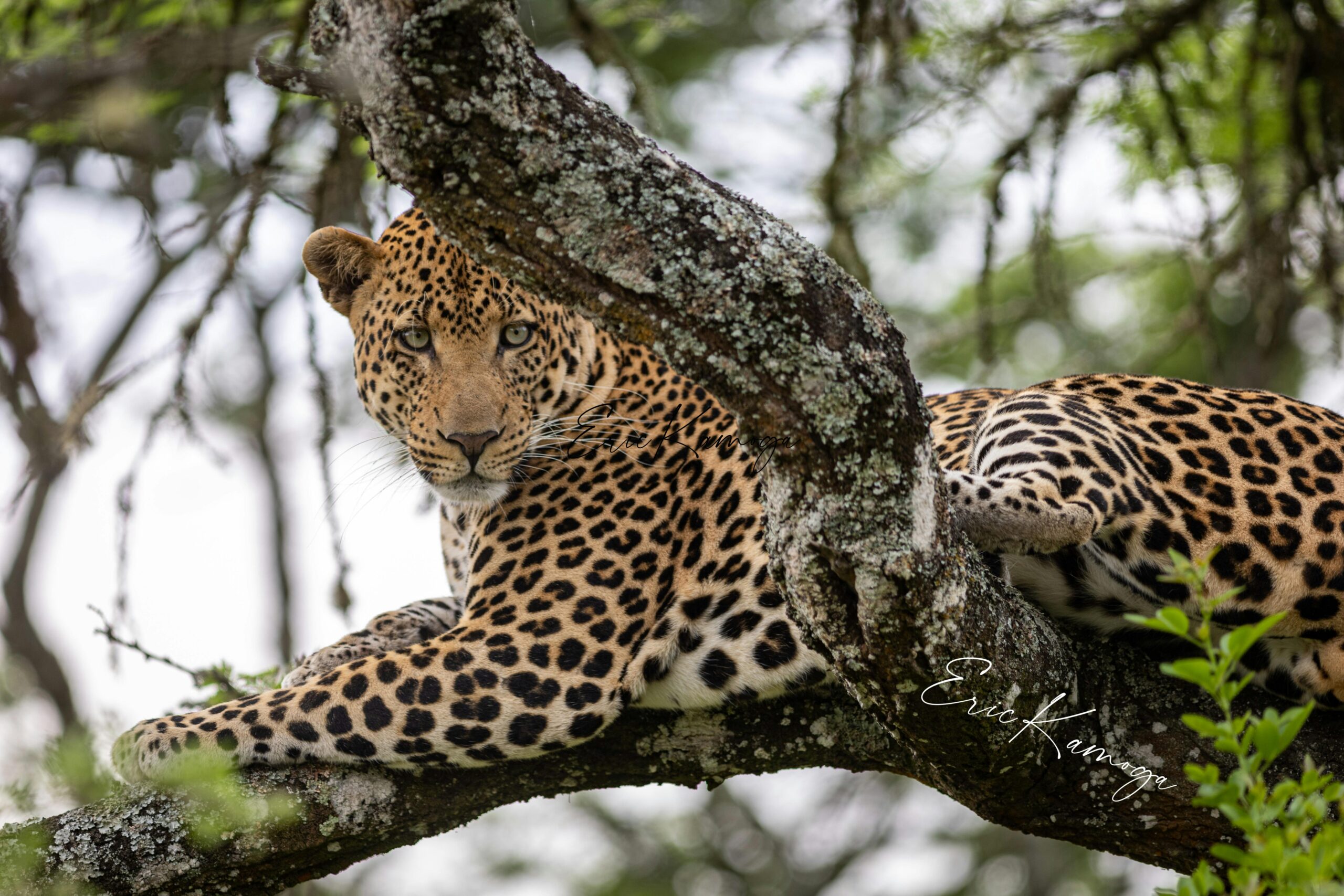 Best National Park In Sri Lanka