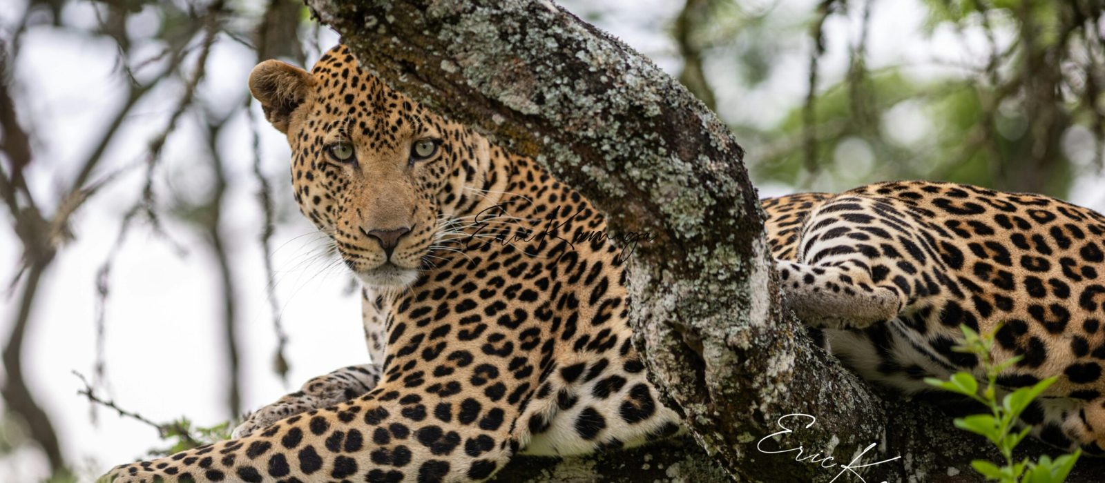 Best National Park In Sri Lanka